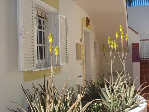Image of 1-bed apartment, available to let in Tenerife